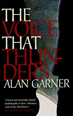 The Voice That Thunders:  Essays and Lectures