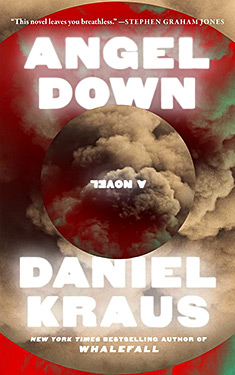 Angel Down: A Novel