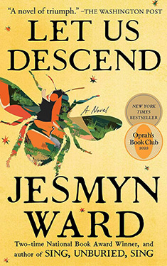 Let Us Descend:  A Novel