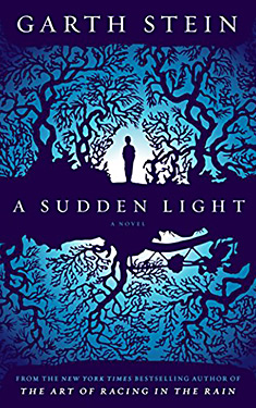 A Sudden Light:  A Novel
