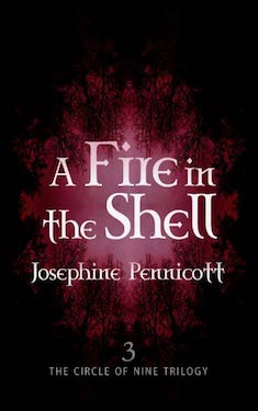 A Fire in the Shell