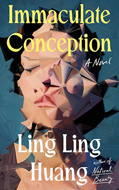 Immaculate Conception:  A Novel